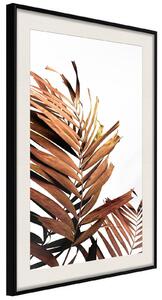 Inramad Poster / Tavla - Copper Palm - 20x30 Vit ram med passepartout