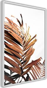 Inramad Poster / Tavla - Copper Palm - 20x30 Vit ram
