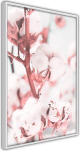 Inramad Poster / Tavla - Cotton Flowers - 30x45 Svart ram med passepartout