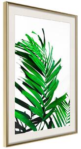 Inramad Poster / Tavla - Emerald Palm - 20x30 Guldram med passepartout