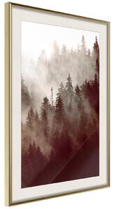 Inramad Poster / Tavla - Forest Fog - 20x30 Guldram med passepartout