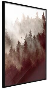 Inramad Poster / Tavla - Forest Fog - 30x45 Svart ram med passepartout