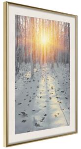 Inramad Poster / Tavla - Frosty Sunset - 20x30 Svart ram med passepartout