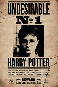 Poster, Affisch Harry Potter - Undersirable No.1, (61 x 91.5 cm)