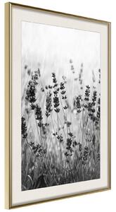Inramad Poster / Tavla - Shadow of Meadow - 40x60 Svart ram med passepartout