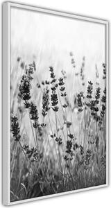 Inramad Poster / Tavla - Shadow of Meadow - 40x60 Svart ram med passepartout