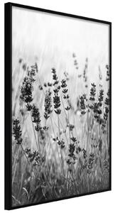 Inramad Poster / Tavla - Shadow of Meadow - 20x30 Guldram