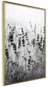 Inramad Poster / Tavla - Shadow of Meadow - 30x45 Guldram