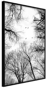 Inramad Poster / Tavla - Treetops - 20x30 Guldram
