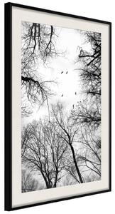 Inramad Poster / Tavla - Treetops - 20x30 Svart ram med passepartout