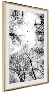 Inramad Poster / Tavla - Treetops - 20x30 Guldram med passepartout