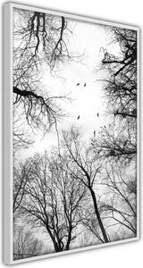 Inramad Poster / Tavla - Treetops - 20x30 Svart ram med passepartout