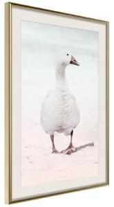 Inramad Poster / Tavla - Walking Goose - 30x45 Svart ram