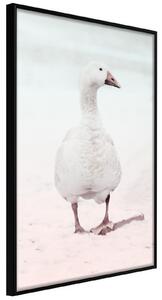 Inramad Poster / Tavla - Walking Goose - 20x30 Svart ram