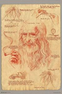 Poster, Affisch Leonardo Smoking Pot, (61 x 91.5 cm)