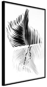 Inramad Poster / Tavla - Abstract Feather - 30x45 Svart ram med passepartout