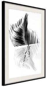 Inramad Poster / Tavla - Abstract Feather - 30x45 Svart ram