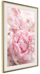 Inramad Poster / Tavla - Abundance of Flowers - 20x30 Guldram med passepartout