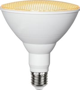 LED-lampa E27 PAR38 Plant Light, 16W