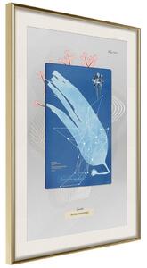 Inramad Poster / Tavla - Alga Cyanotype - 30x45 Guldram