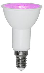 LED Lampa E14 3,5W PAR16 växtbelysning