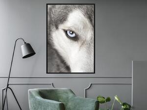 Inramad Poster / Tavla - Azure Eye - 30x45 Guldram