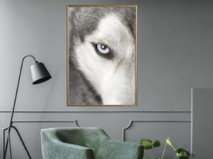 Inramad Poster / Tavla - Azure Eye - 40x60 Svart ram