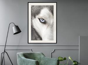 Inramad Poster / Tavla - Azure Eye - 20x30 Svart ram