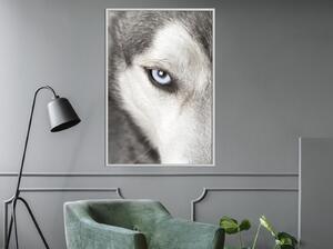 Inramad Poster / Tavla - Azure Eye - 20x30 Guldram