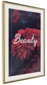 Inramad Poster / Tavla - Beauty of the Flowers - 40x60 Svart ram med passepartout