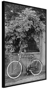 Inramad Poster / Tavla - Bicycle with White Tires - 20x30 Guldram med passepartout