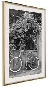 Inramad Poster / Tavla - Bicycle with White Tires - 20x30 Svart ram