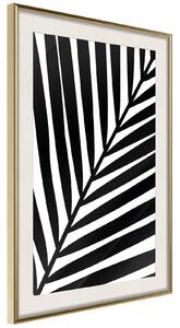 Inramad Poster / Tavla - Black Palm - 40x60 Svart ram med passepartout