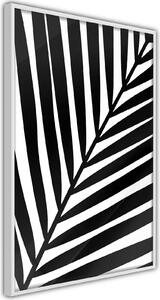 Inramad Poster / Tavla - Black Palm - 40x60 Svart ram med passepartout