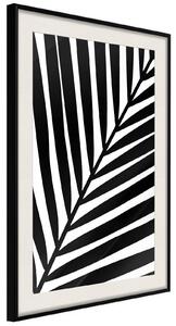 Inramad Poster / Tavla - Black Palm - 40x60 Guldram