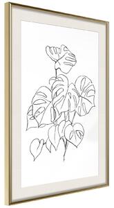 Inramad Poster / Tavla - Bouquet of Leaves - 20x30 Guldram