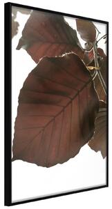 Inramad Poster / Tavla - Burgundy Tilia Leaf - 30x45 Guldram med passepartout