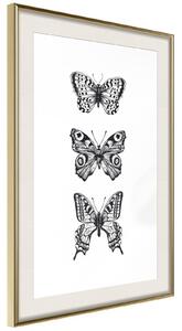 Inramad Poster / Tavla - Butterfly Collection III - 20x30 Guldram