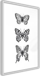 Inramad Poster / Tavla - Butterfly Collection III - 30x45 Guldram med passepartout