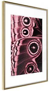 Inramad Poster / Tavla - Butterfly Wings - 20x30 Guldram