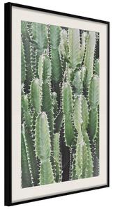 Inramad Poster / Tavla - Cactus Plantation - 20x30 Svart ram med passepartout