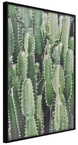 Inramad Poster / Tavla - Cactus Plantation - 20x30 Svart ram med passepartout