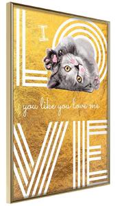 Inramad Poster / Tavla - Cat Love - 20x30 Guldram