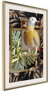 Inramad Poster / Tavla - Composition with Gold Parrot - 20x30 Svart ram med passepartout