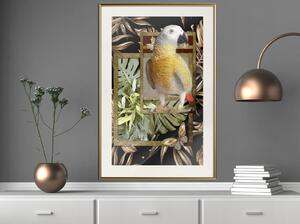 Inramad Poster / Tavla - Composition with Gold Parrot - 20x30 Guldram med passepartout