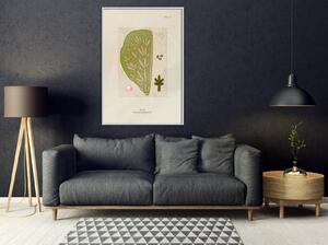 Inramad Poster / Tavla - Cross Section of a Leaf - 20x30 Svart ram