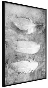 Inramad Poster / Tavla - Delicate Feathers - 20x30 Svart ram med passepartout