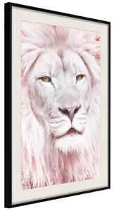 Inramad Poster / Tavla - Dreamy Lion - 20x30 Svart ram med passepartout