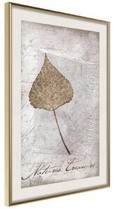 Inramad Poster / Tavla - Dried Leaf - 30x45 Svart ram