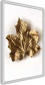 Inramad Poster / Tavla - Dried Maple Leaf - 20x30 Svart ram med passepartout